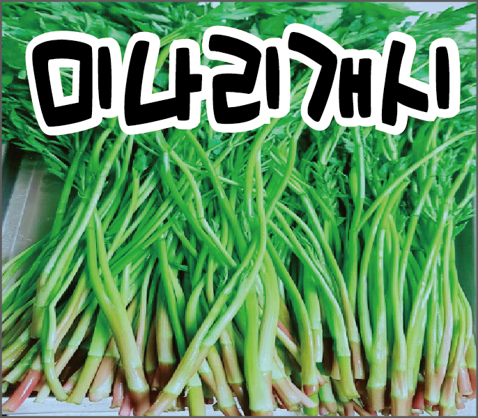 관음동맛집/숯불에꾸븐 미나리 개시