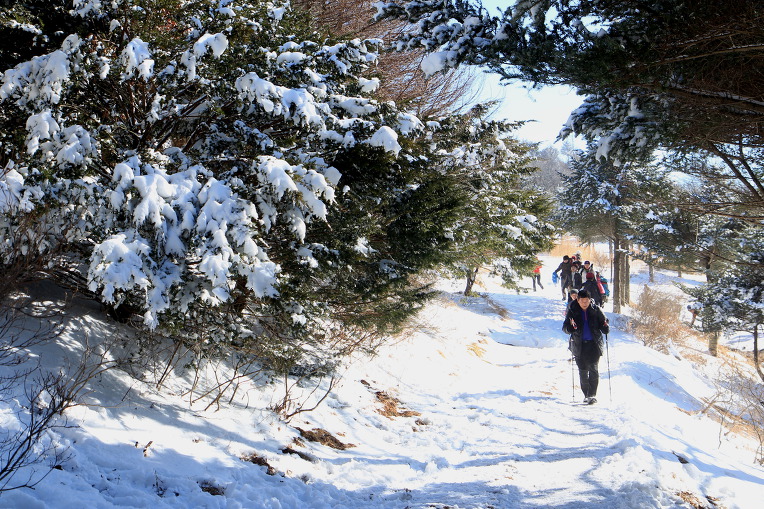 * 지리산 바래봉 눈꽃 산행기 