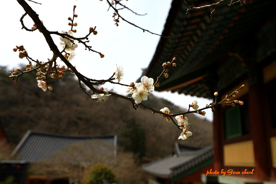 봄철 환경켐페인..2019.03.08