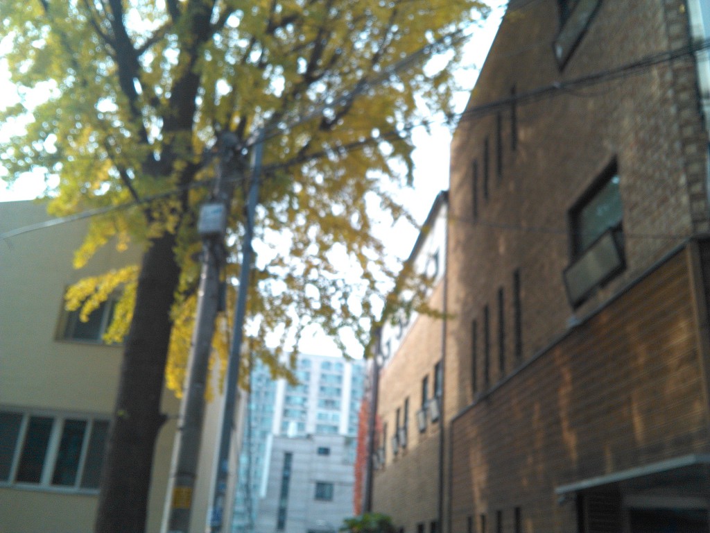 17.11.7(火)