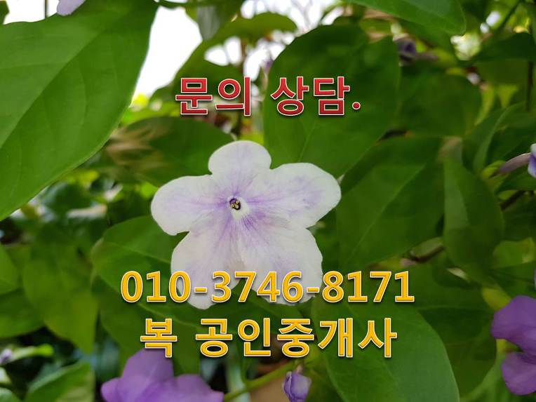 ★﻿대전 유성구 창고형 - 사무실 임대  유성사무실 상가 임대 복 공인중개사