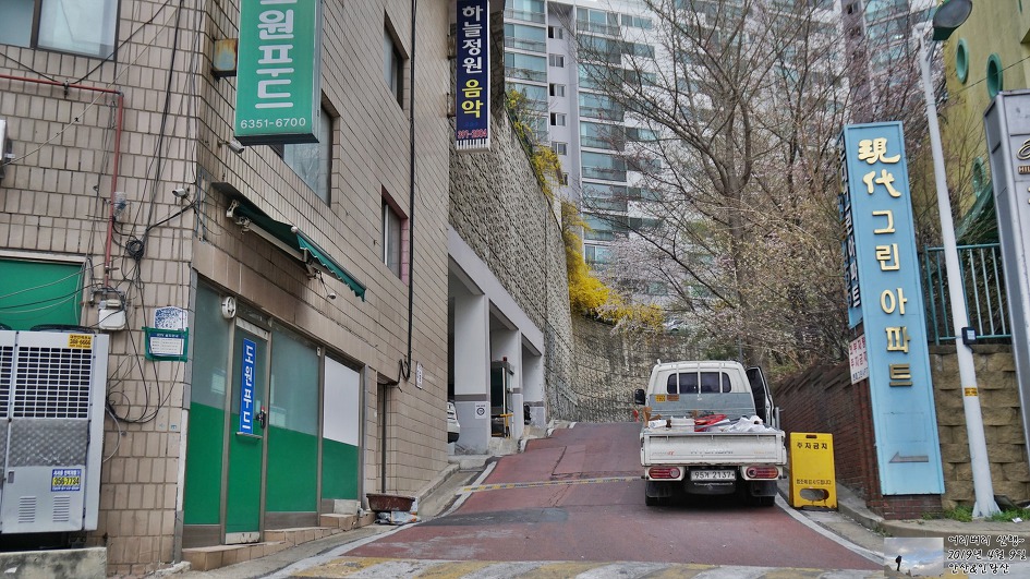 서대문,안산 & 인왕산...개나리,진달래가 흐드러지게 피어있고~