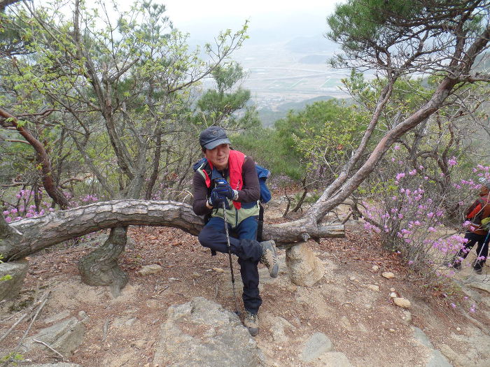 1045- 慶州 南山 고위봉(高位峯:494m)을 다녀왔어요.