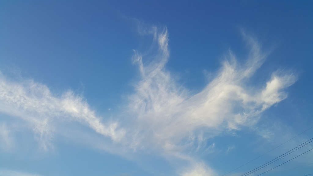 가을하늘