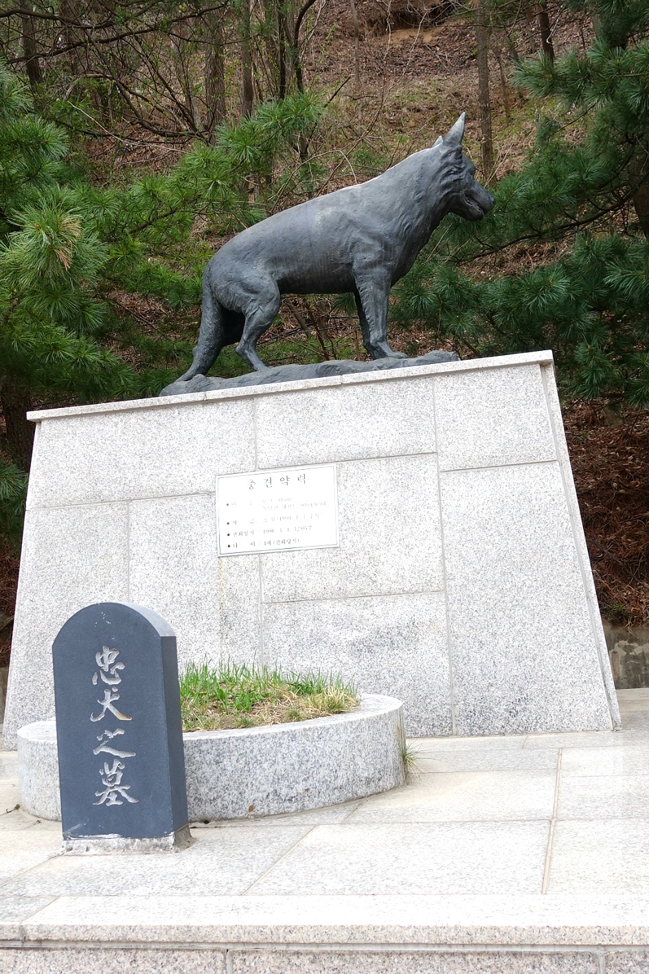땅굴 이미지