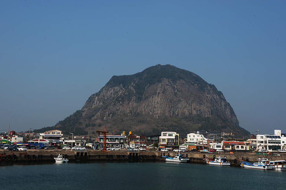 산방산의 봄