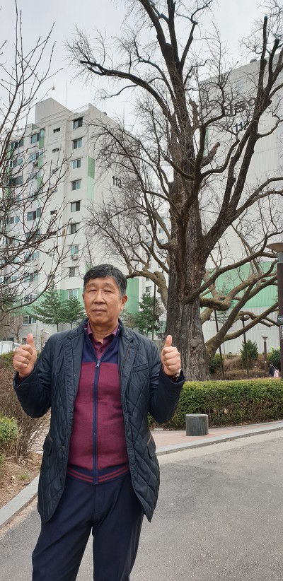 방학동 은행나무집 참 봉평모밀﻿