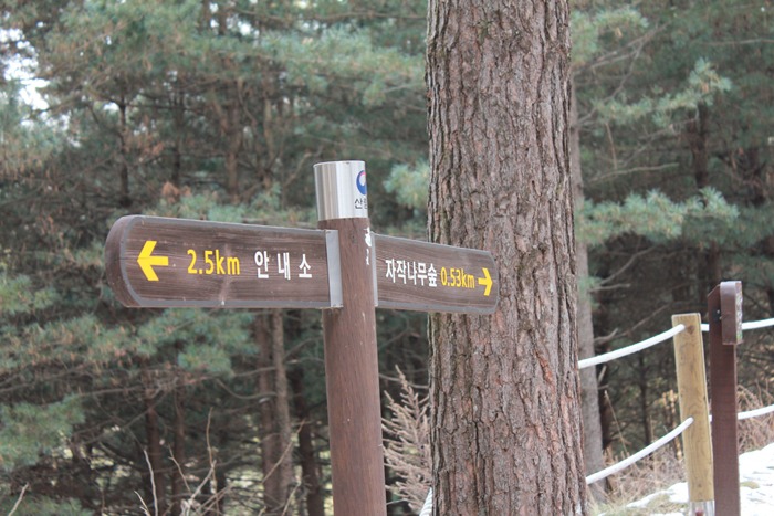 원본이미지(클릭)