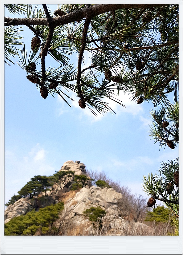 2019 가야산의 이른봄