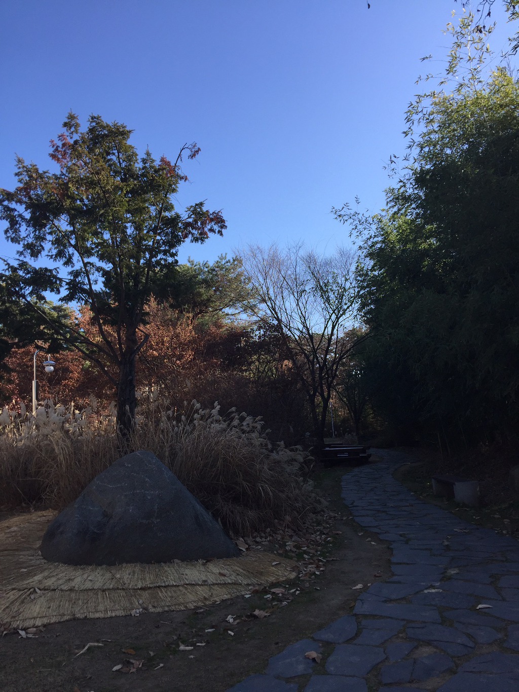 국립중앙 박물관의 안 뜰. 