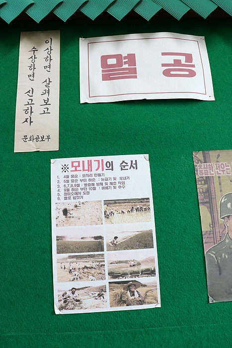 부산여행사 부산테마여행사