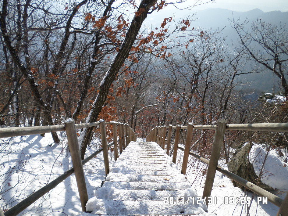 정유년 굿바이 해너미 천마산(812 m)산행