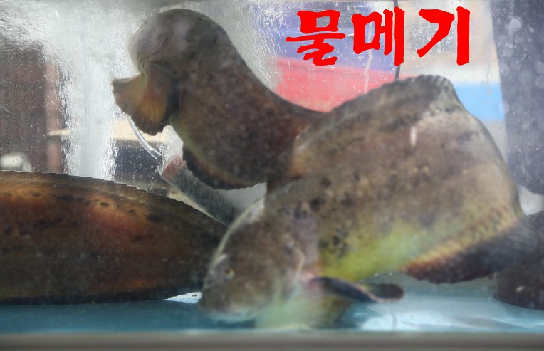 충무횟집 이미지