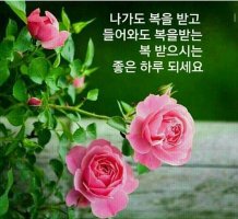 99F138445C3D24CA2B7108