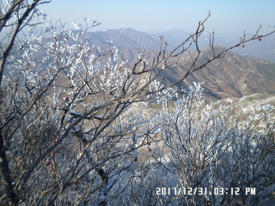 정유년 굿바이 해너미 천마산(812 m)산행